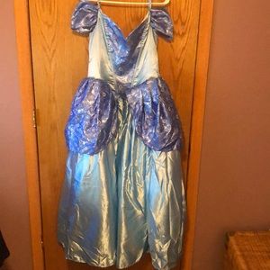Disney Cinderella Halloween Costume